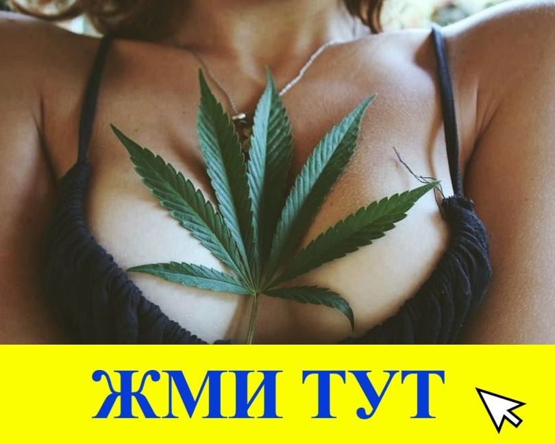 Купить наркотики в Тимашёвске